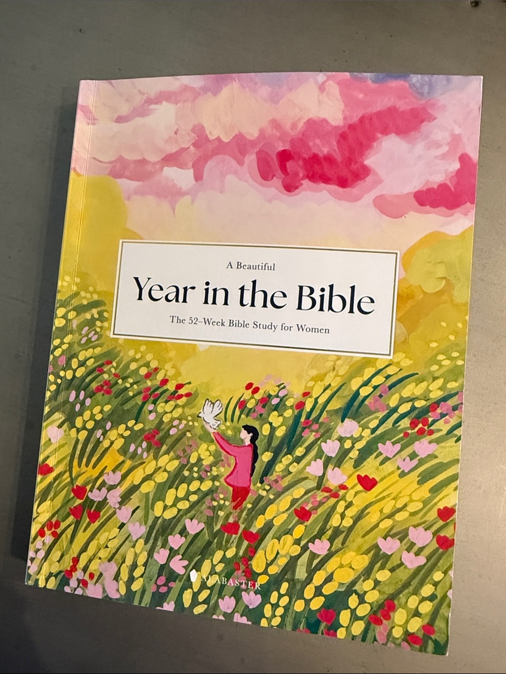 A Beautiful Year in the Bible - Women's 52-Week Study (Pink/Yellow)